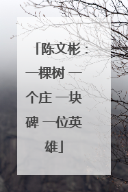 陈文彬：一棵树 一个庄 一块碑 一位英雄